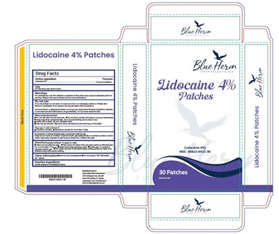 Label (Lido 4 Patches (30 Ct) Box)
